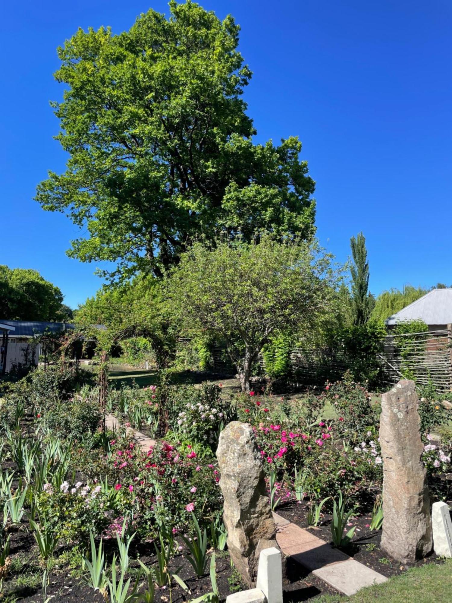 Periwinkle, Grove ,Acorn & Sage Cottages クラレンス エクステリア 写真