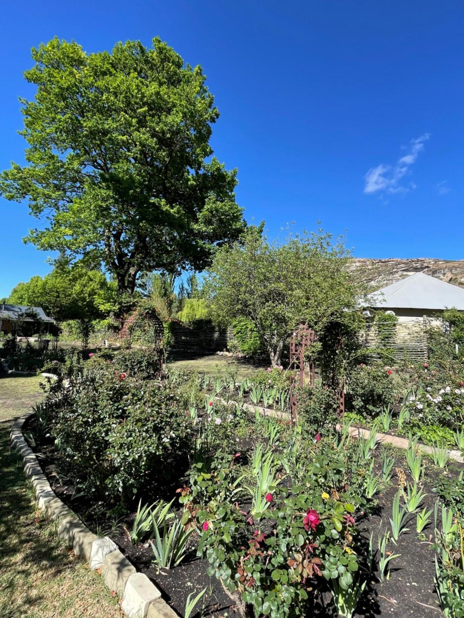Periwinkle, Grove ,Acorn & Sage Cottages クラレンス エクステリア 写真